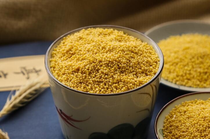 白小米和黃小米的區別是什麼