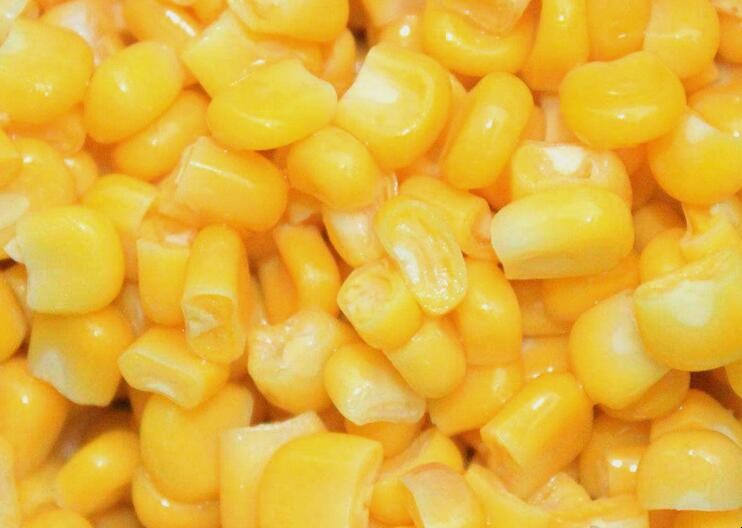 優質玉米粒怎麼挑選