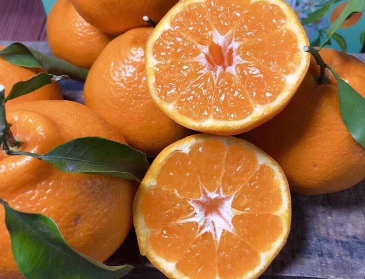 粑粑柑和醜橘有什麼區別