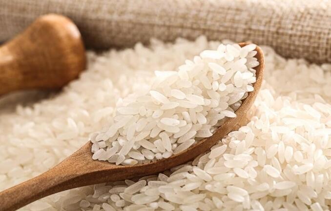 怎麼保存大米不生蟲子