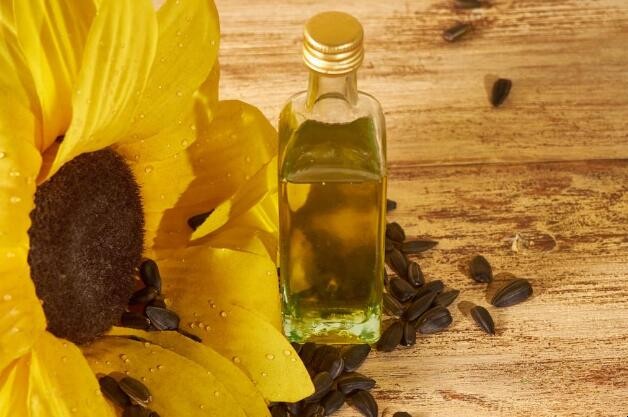 葵花仁油和葵花籽油區別是什麼