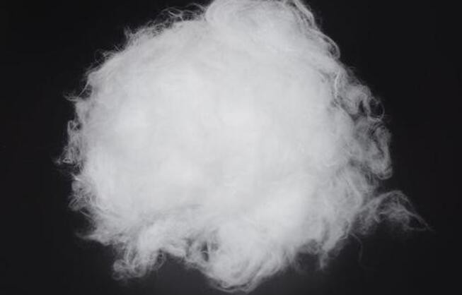 絲綿和棉花的區別是什麼
