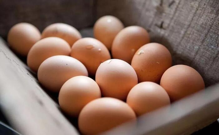 雞蛋外殼發黴怎麼處理