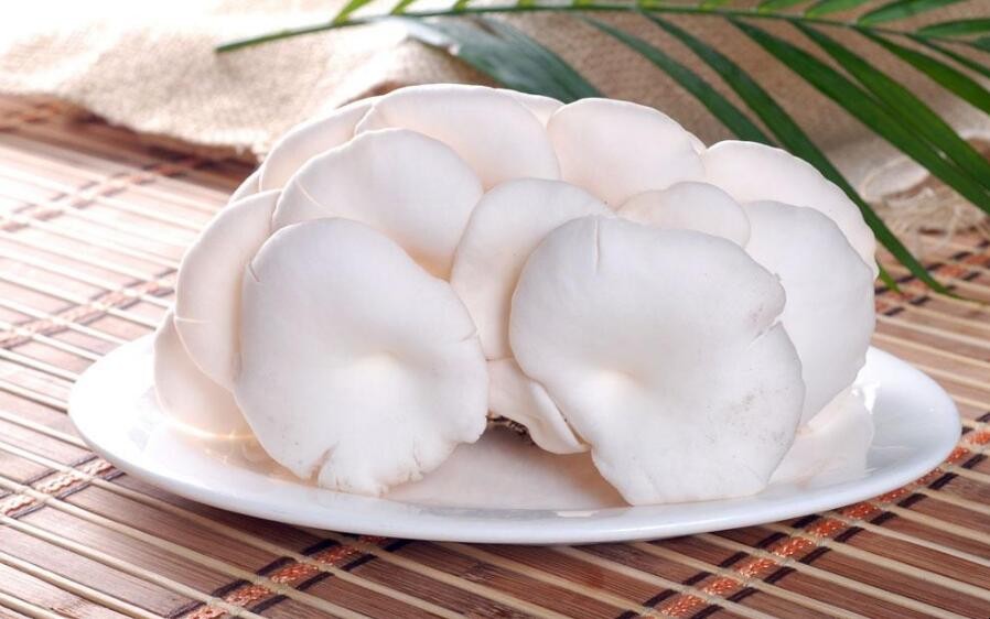 白蘑菇怎麼保存