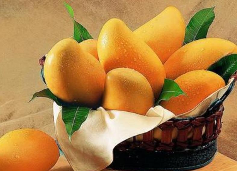 芒果的最佳保存方法有哪些