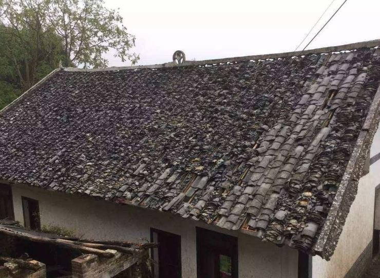 屋頂瓦片有哪些種類
