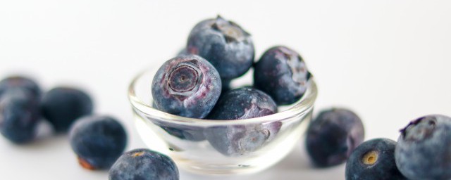 藍莓的盆栽怎麼種植 如何種植盆栽的藍莓呢