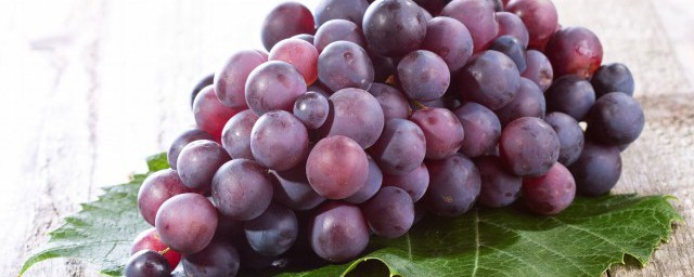 葡萄冬天的時候如何養護 葡萄冬天的養護技巧