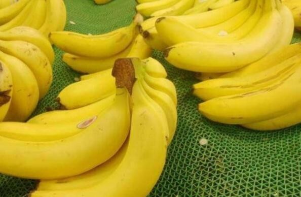 怎麼挑選香蕉