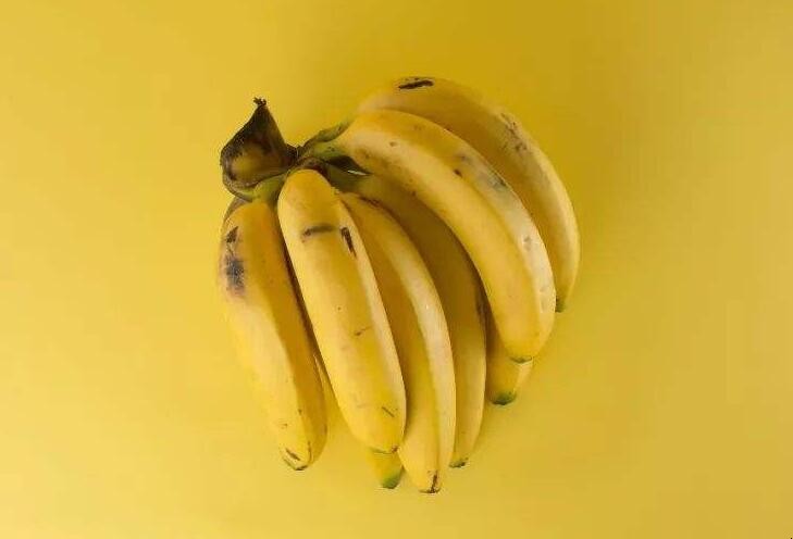 芝麻蕉和香蕉的區別是什麼