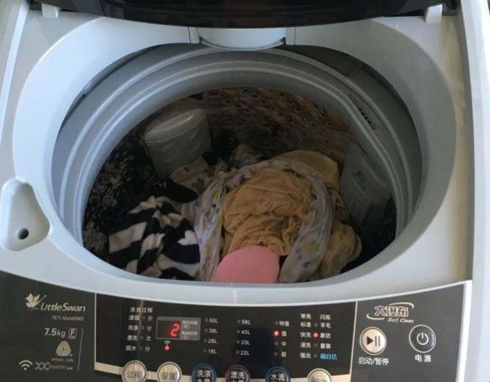 洗毛毯洗衣機用什麼程序