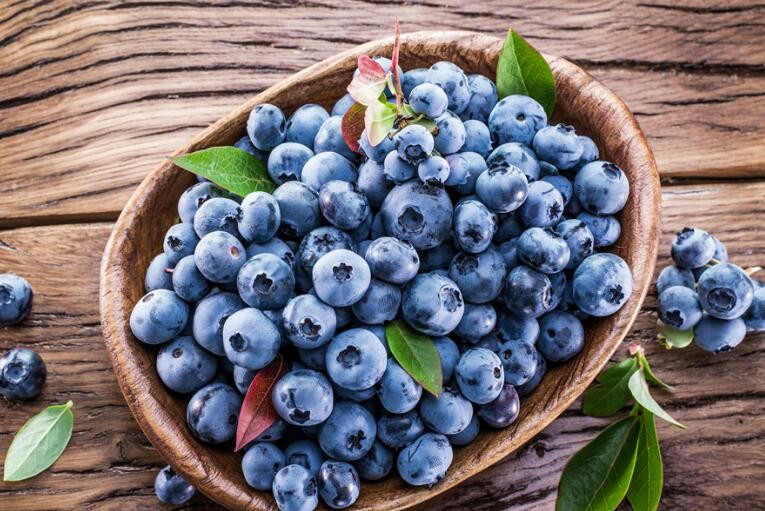 怎麼判斷藍莓是否新鮮