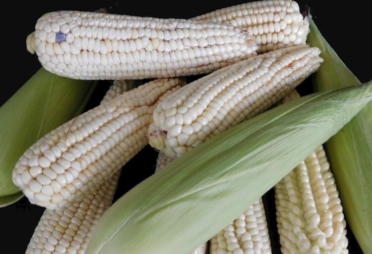 怎麼挑選白玉米