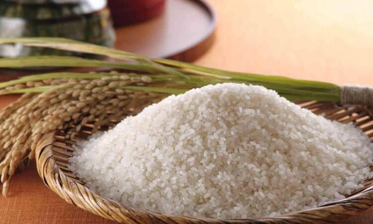 如何預防米面長蟲