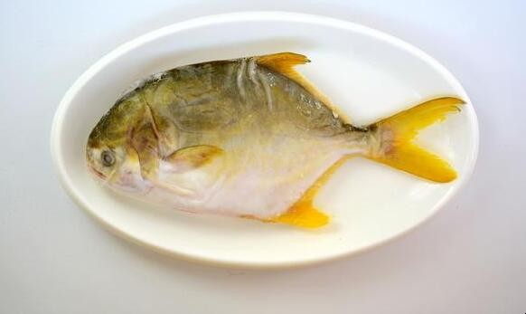 金鯧魚怎麼去腥味