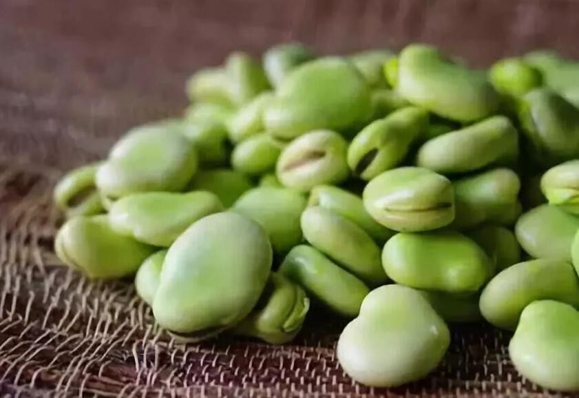 新鮮豆子怎麼保存