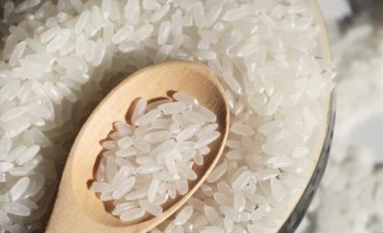 稻米怎麼保存