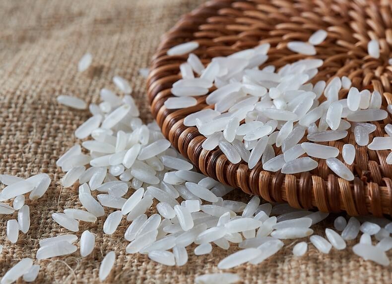 大米怎麼防米蟲