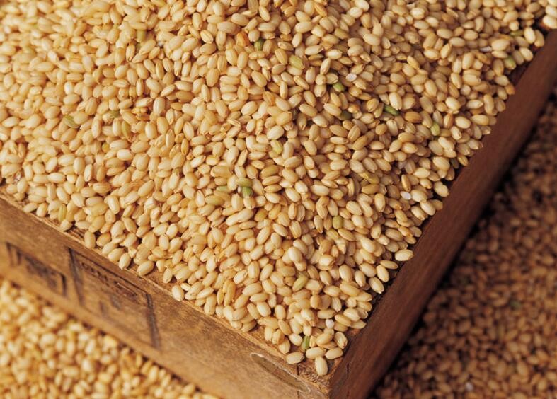 糙米和大米的區別是什麼