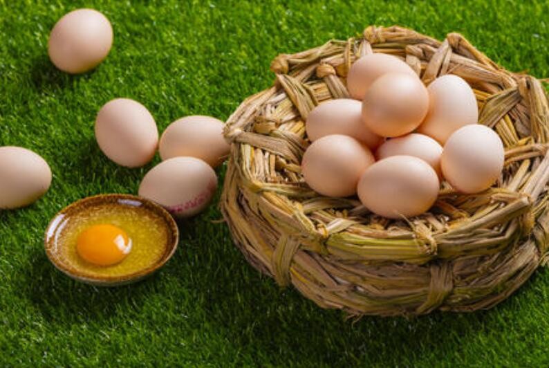 雞蛋怎麼保存最好