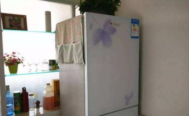 新冰箱首次使用要註意什麼問題