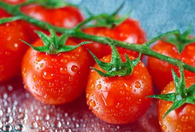 怎麼判斷西紅柿是否壞瞭