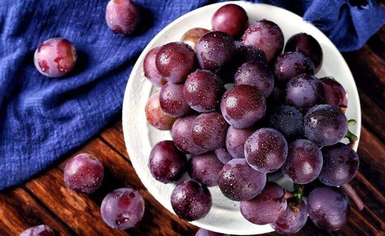 洗過的葡萄可以放冰箱嗎