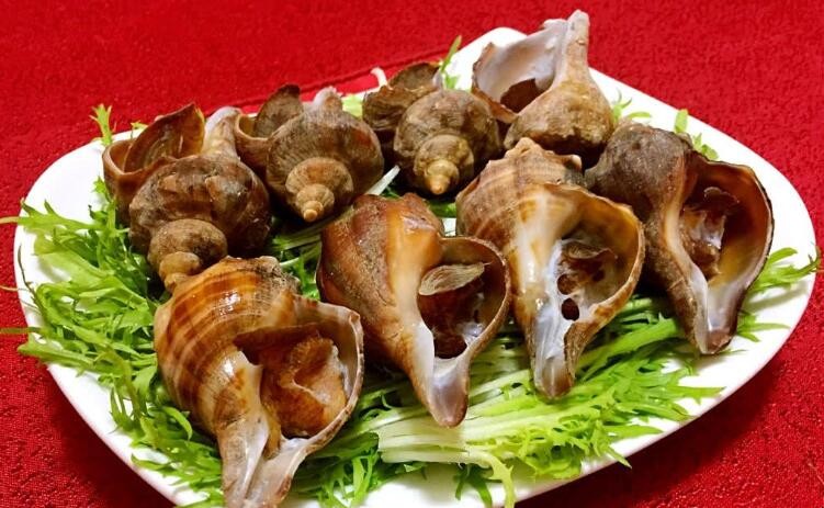 煮熟的海螺怎麼保存