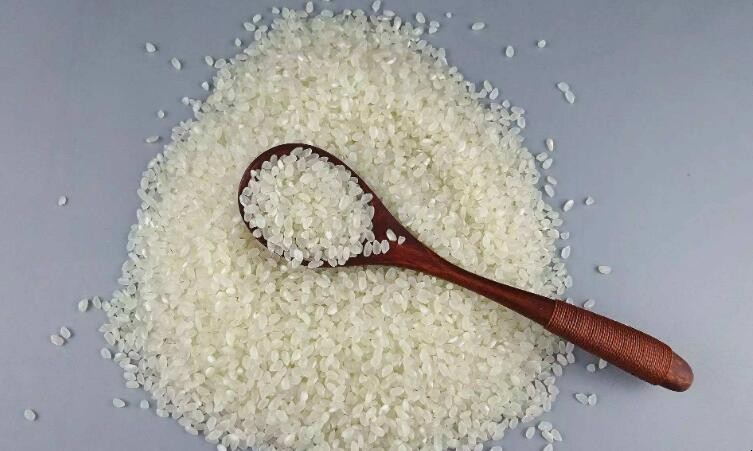 長蟲的米可以吃嗎