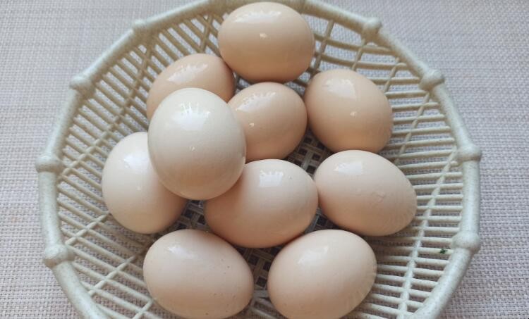 大量煮熟的雞蛋如何保存