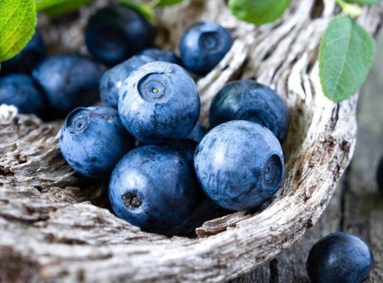 新鮮藍莓怎麼吃