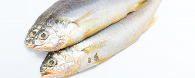 冬天多吃這六種魚 適合冬天吃的魚介紹