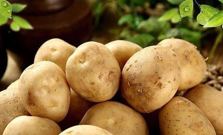 土豆該怎麼保存