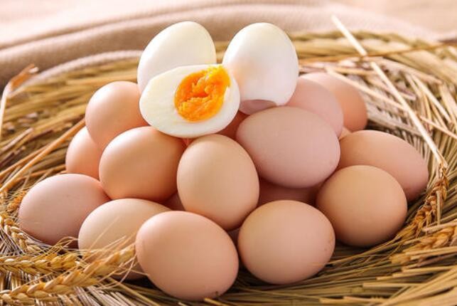 土雞蛋和飼料雞蛋的區別有哪些