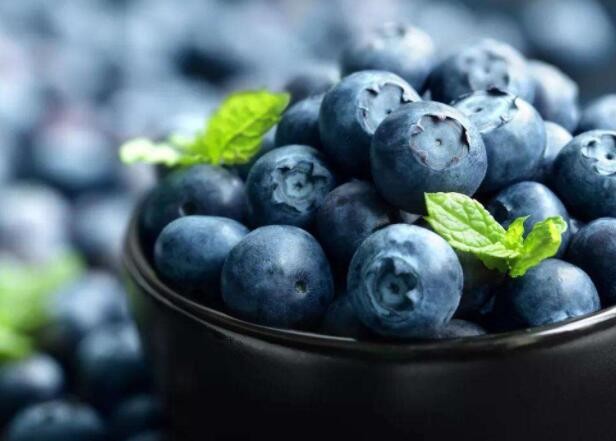 如何挑選新鮮藍莓
