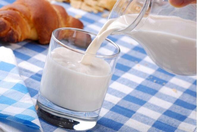 巴氏奶和純牛奶的區別是什麼