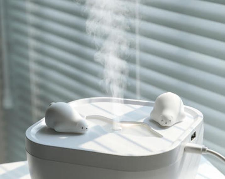 加濕器能加熱水嗎