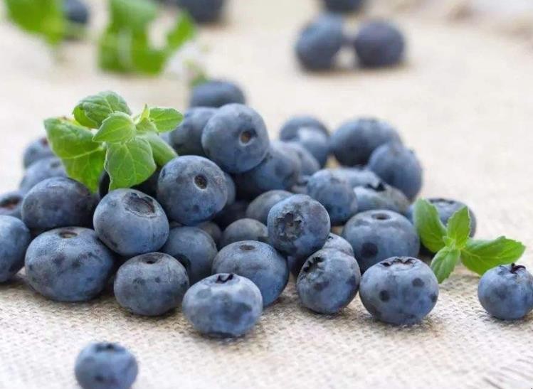 藍莓冷凍可以放8個月嗎