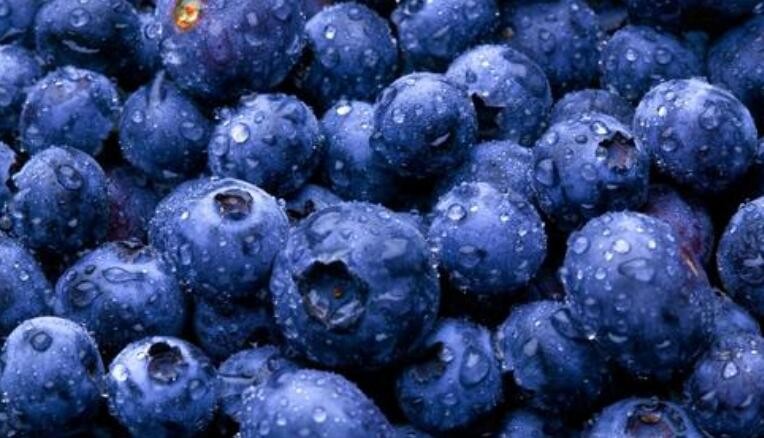 怎麼挑選好的藍莓