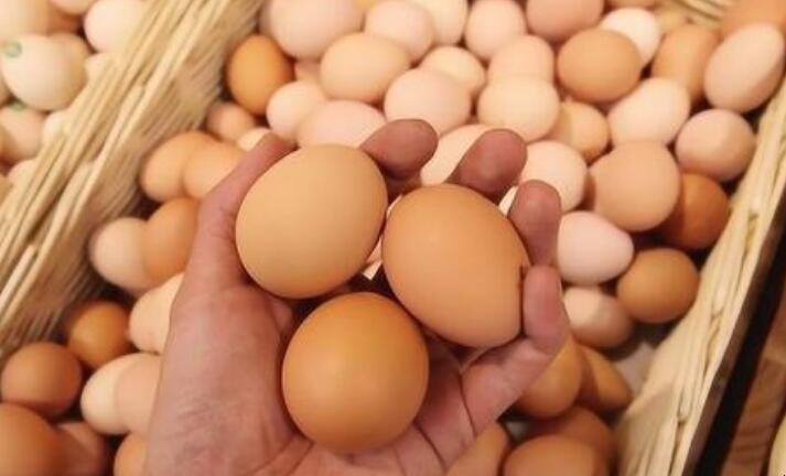 如何識別人造雞蛋