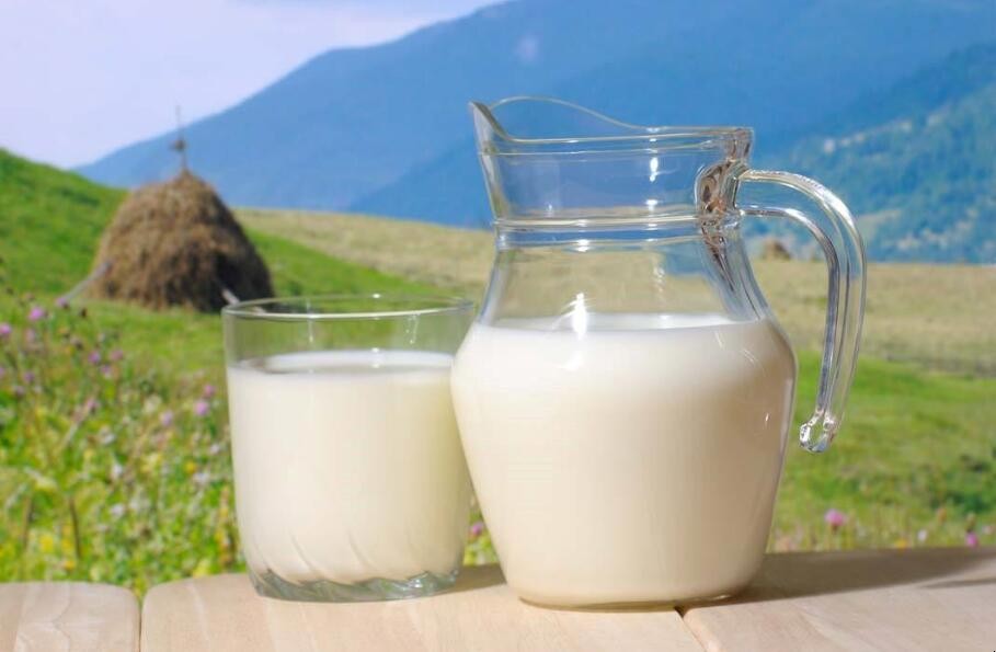 牛乳和牛奶的區別是什麼