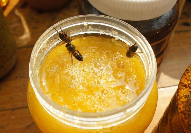 怎麼分辨蜂蜜十分變質