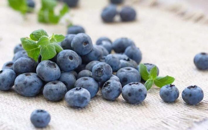 新鮮藍莓怎麼挑選