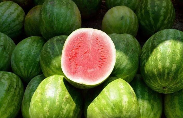怎麼辨別催熟的西瓜