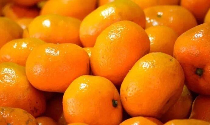 選購橘子的技巧是什麼