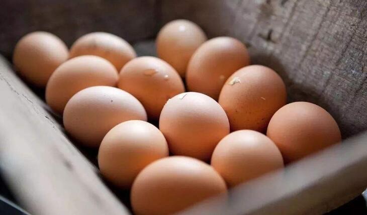 辨別假雞蛋的方法有哪些