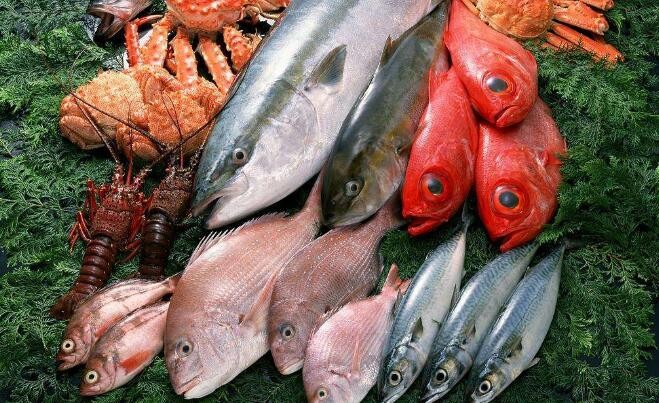 怎樣挑選到新鮮的魚