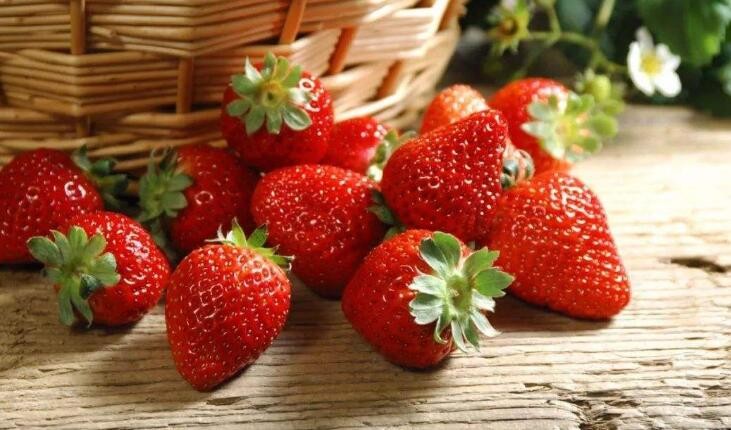如何分辨催熟的草莓