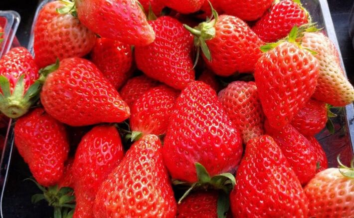 選購草莓有哪些技巧
