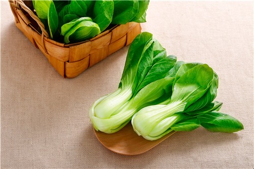 綠葉菜怎麼保存